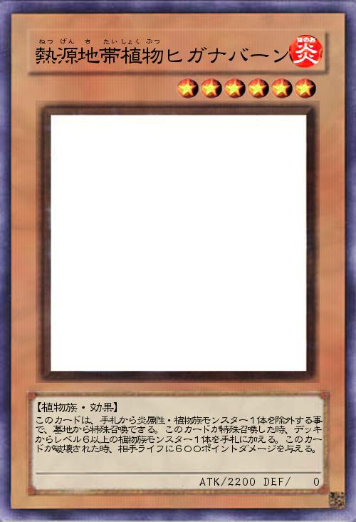 熱源地帯植物ヒガナバーン