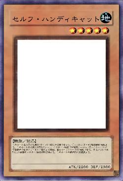 セルフ・ハンディキャット