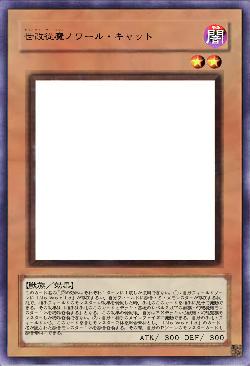 世改従魔ノワール・キャット