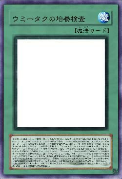 ウミータクの培養検査