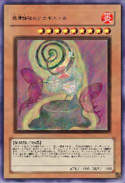 感情論破のアコギニョル