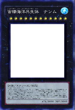 宙棲海洋共生体　ナンム