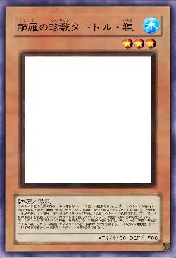 鋼羅の珍獣タートル・狸