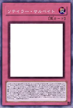 ソテイラー・サルベイト