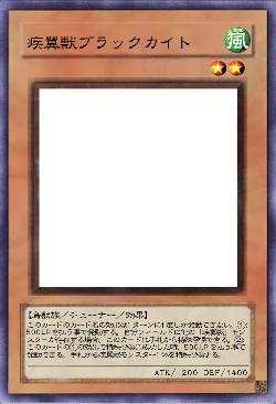 疾翼獣ブラックカイト