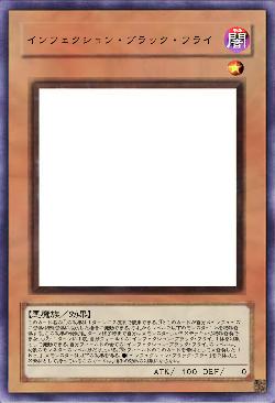 インフェクション・ブラック・フライ