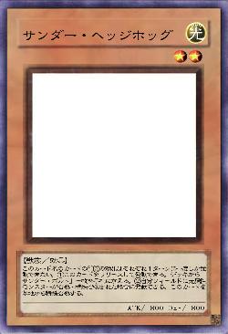 サンダー・ヘッジホッグ