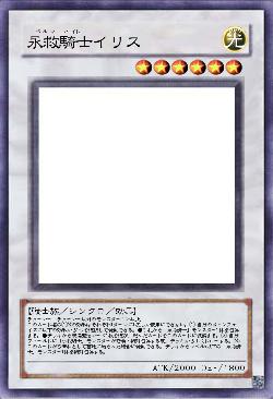 永救騎士イリス
