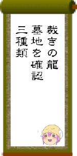 裁きの龍墓地を確認三種類
