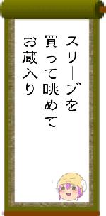 スリーブを買って眺めてお蔵入り