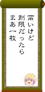 高いけど制限だったらまあ一枚