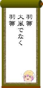 羽箒大嵐でなく羽箒