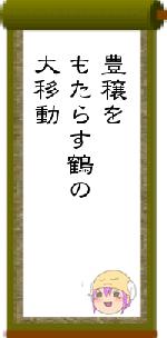 豊穣をもたらす鶴の大移動
