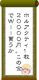 ホルアクティ1枚20000円。この金でWII買うか