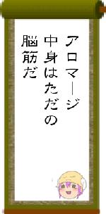 アロマージ中身はただの脳筋だ
