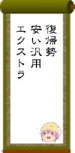 復帰勢安い汎用エクストラ