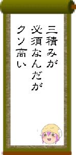 三積みが必須なんだがクソ高い