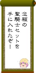 念願の聖騎士セットを手に入れたぞ！
