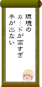 環境のカードが高すぎ手が出ない