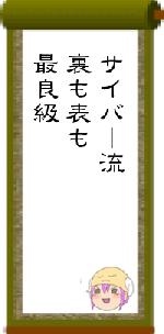 サイバー流裏も表も最良級