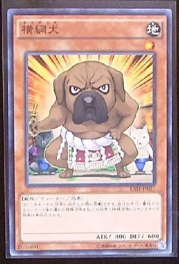 横綱犬 ヨコチュナ カード効果 評価 価格 最安値 遊戯王カードリスト 評価 オリカ