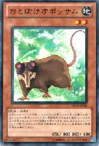 おとぼけオポッサム