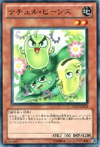 ナチュル・ビーンズ