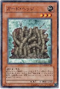 ガード・ヘッジ