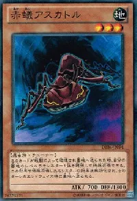 赤蟻アスカトル