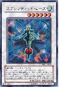 スプレンディッド・ローズ