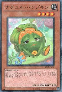 ナチュル・パンプキン