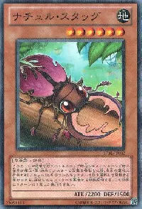 ナチュル・スタッグ