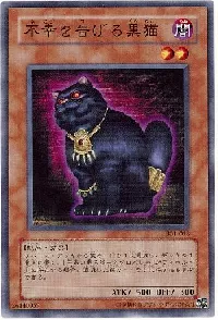 不幸を告げる黒猫