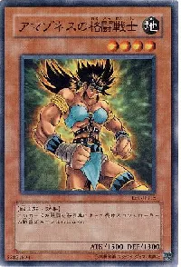 アマゾネスの格闘戦士