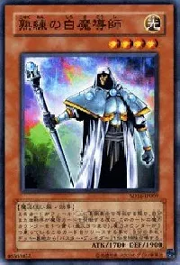 熟練の白魔導師