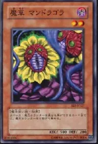 魔草 マンドラゴラ