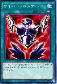 サイバー・ボンテージ