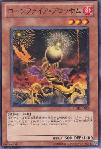 ローンファイア・ブロッサム