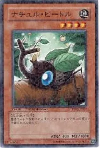 ナチュル・ビートル