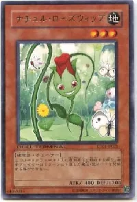 ナチュル・ローズウィップ