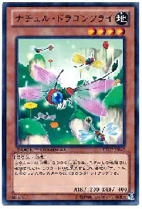 ナチュル・ドラゴンフライ