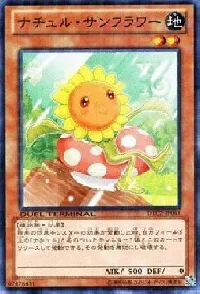 ナチュル・サンフラワー