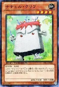 ナチュル・クリフ