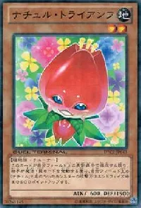 ナチュル・トライアンフ