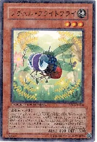 ナチュル・フライトフライ