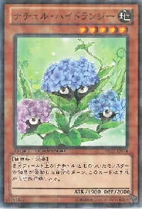 ナチュル・ハイドランジー