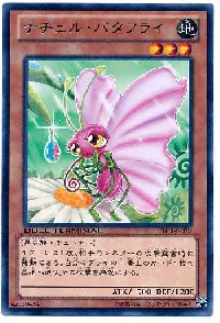 ナチュル・バタフライ