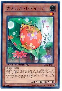 ナチュル・レディバグ