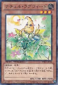 ナチュル・ラグウィード