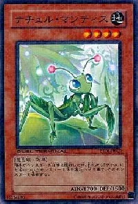 ナチュル・マンティス